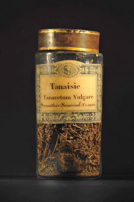 Veuillez patienter...