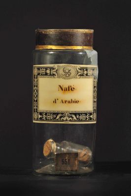 Veuillez patienter...