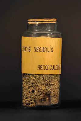 Veuillez patienter...