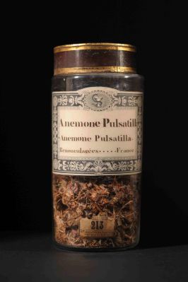 Veuillez patienter...