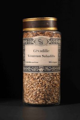 Veuillez patienter...