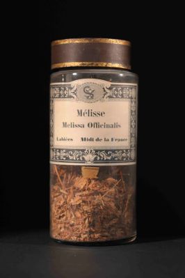 Veuillez patienter...