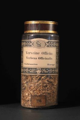 Veuillez patienter...