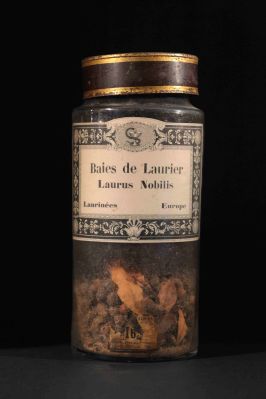 Veuillez patienter...