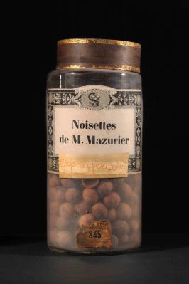 Veuillez patienter...