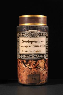Veuillez patienter...