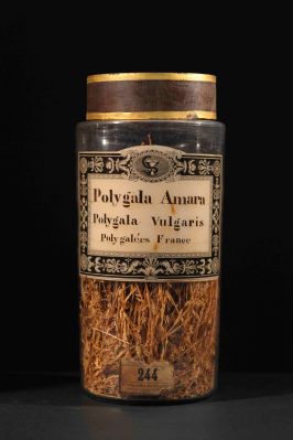 Veuillez patienter...