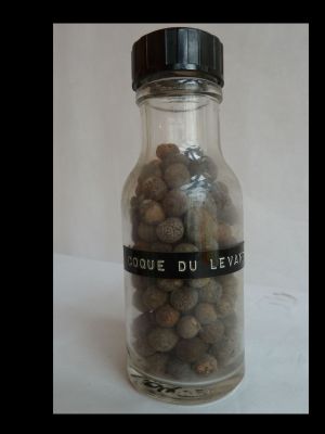 Veuillez patienter...